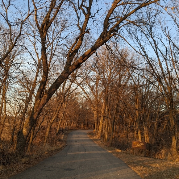 Meet your Posher, Debra - Picture 4 of 7